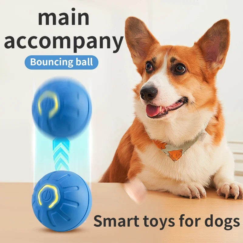 Bola Automática para Pets