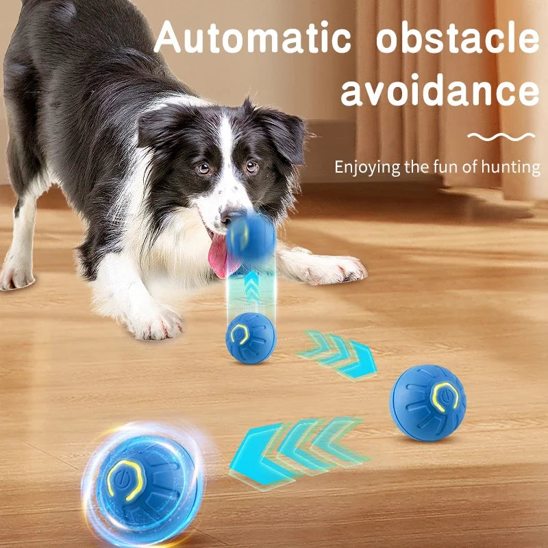 Bola Automática para Pets