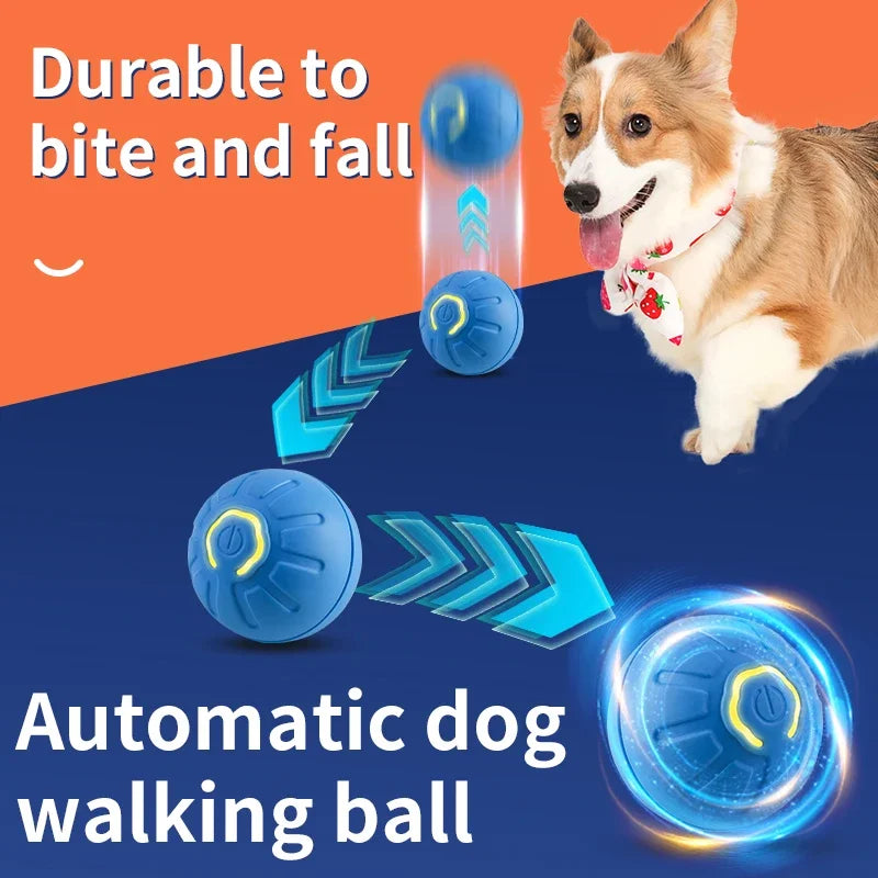 Bola Automática para Pets